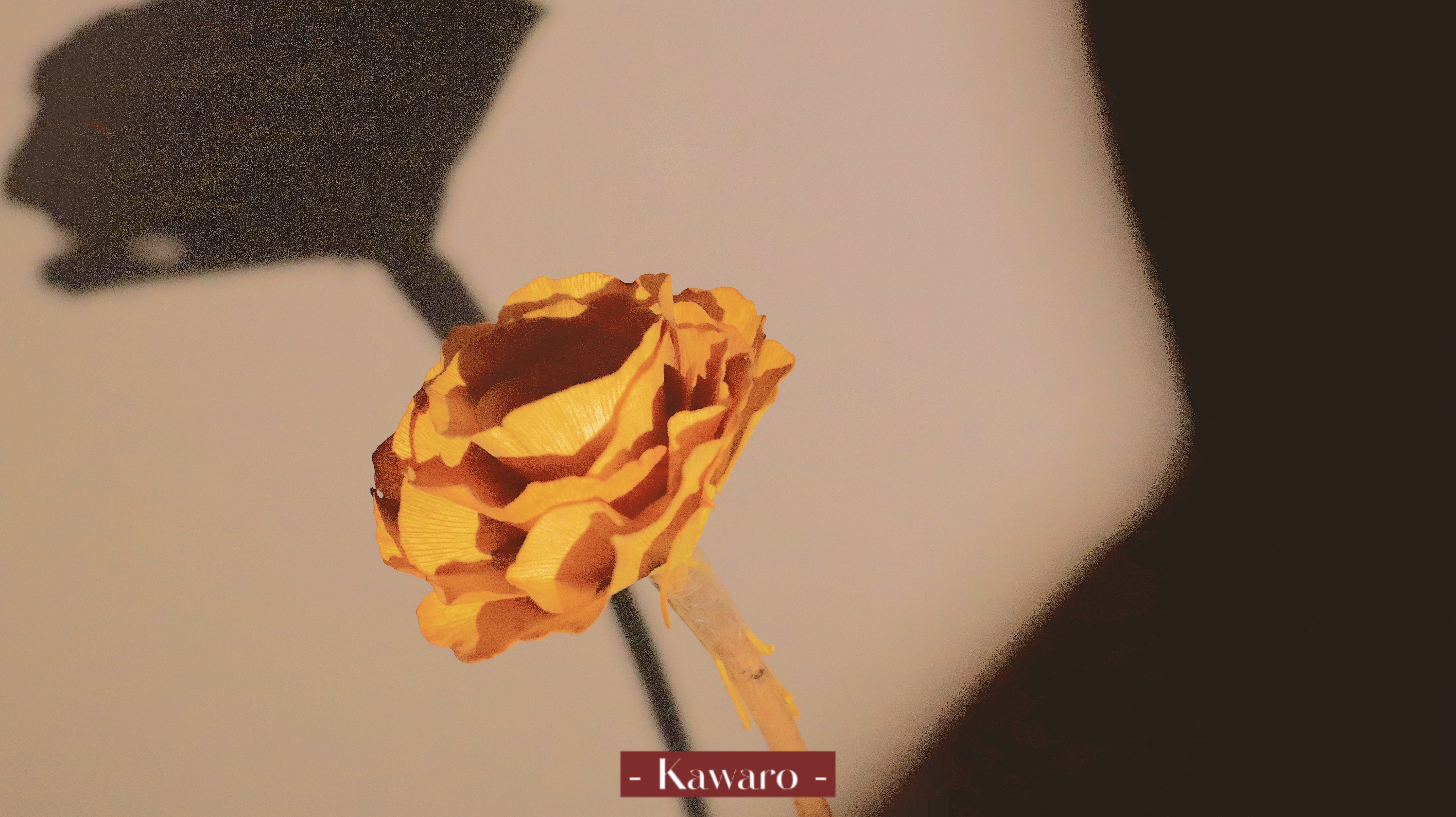 retouch_2023100122042260.jpg