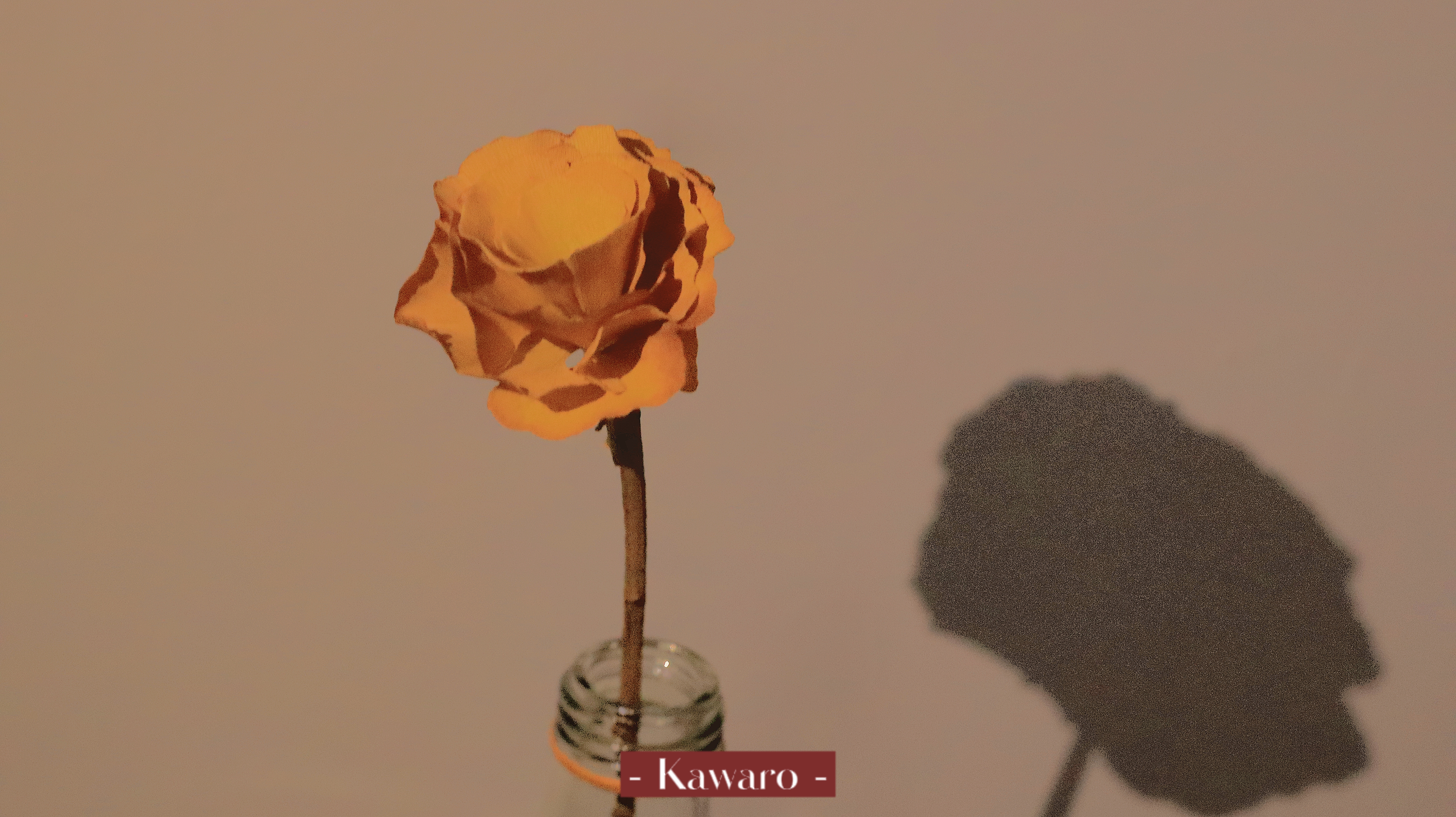 retouch_2023100122042260.jpg