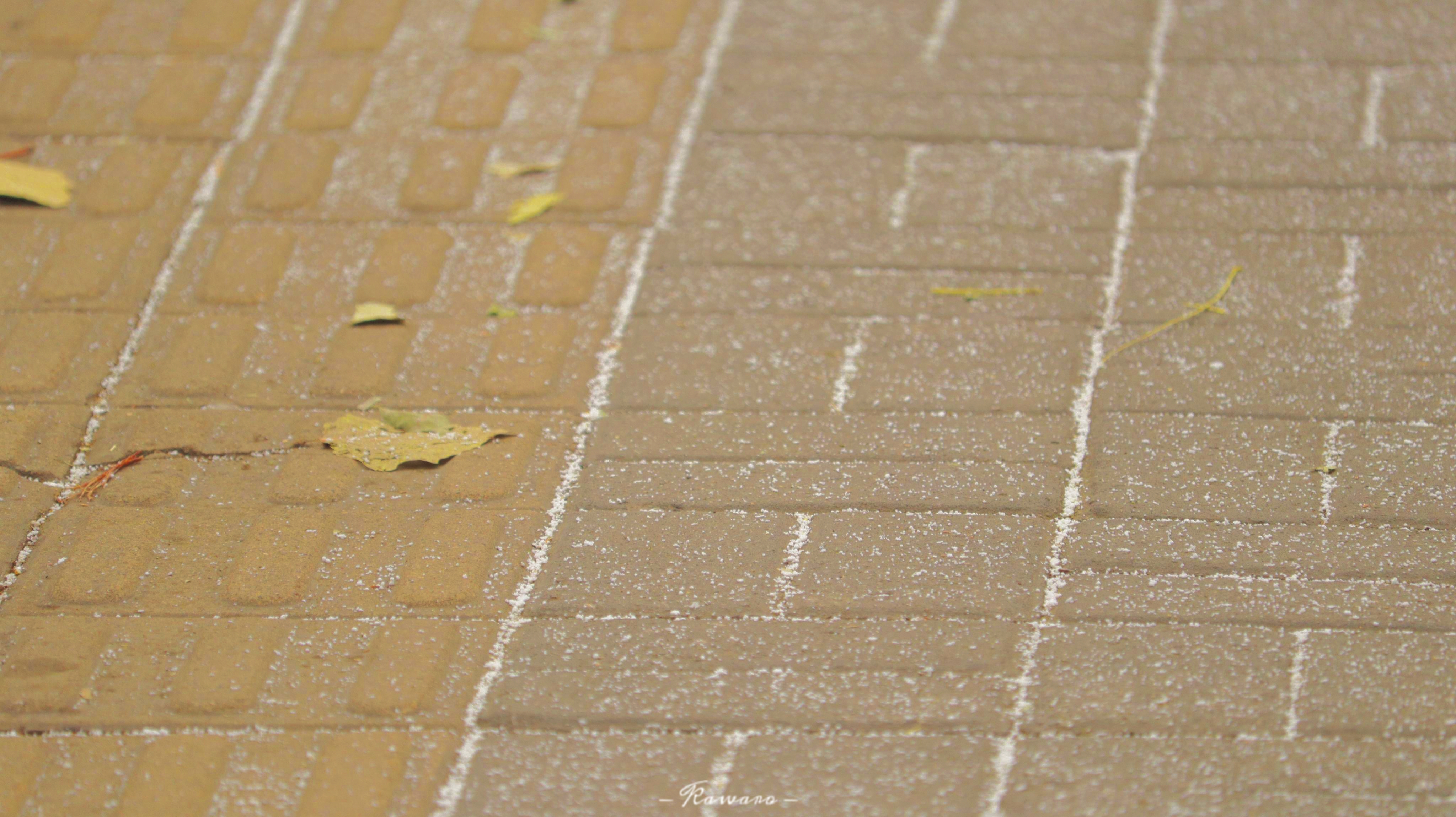 retouch_2023112510334606.jpg
